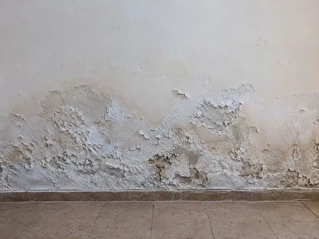 Remontées capillaires : salpêtre et enduit cloqué en bas de mur